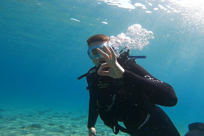 Discover Small Group Scuba Diving Experience in Nea Makri, Athens - The Underwater Session: 30 to 40 Minutes to 5 to 6 Meters