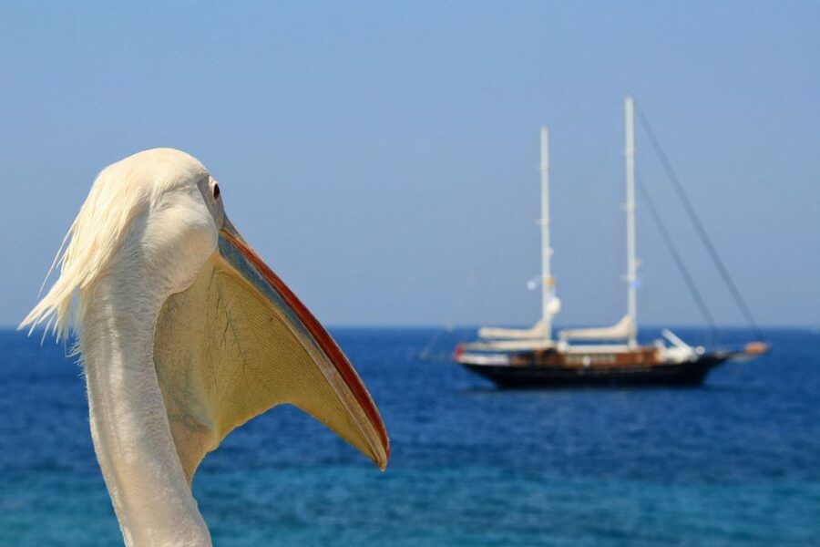 From Athens: 2-Day Santorini and Mykonos Trip - Key Points Worth Your Attention