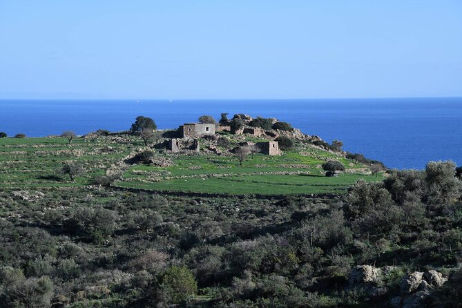 From Athens: Aegina Island E-bike & Walking Day Tour - Villages, Seaside Stops, and When You Finally Feel the Summer
