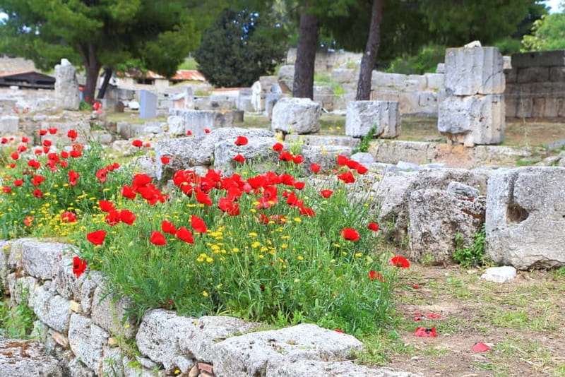 From Athens: Explore Ancient Corinth & Charming Nafplion - Nafplion walking tour and free time: romantic streets with real history under your feet