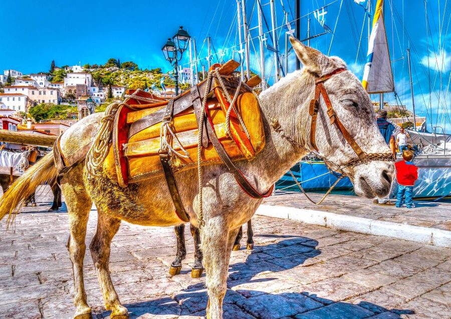 From Athens: Saronic Islands Full-Day Cruise with VIP Seats - Aegina for About Two Hours: Pistachios, Temple of Afea, and Swim Time