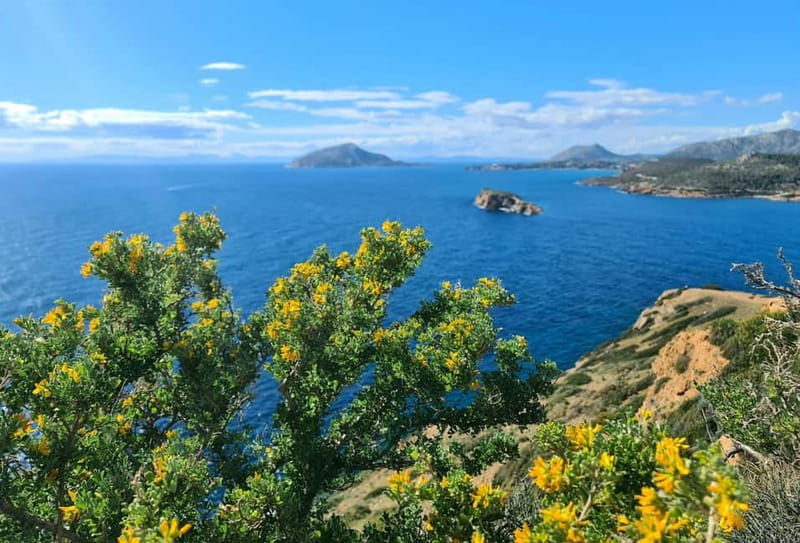 From Athens: Temple of Poseidon & Cape Sounion Half-Day Tour - The Coastal Bus Ride From Athens: Comfort Plus Context