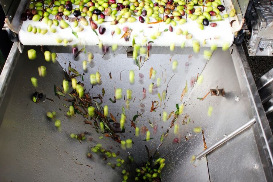 From Athens: Wine, Oil, & Cheese Tasting in Nemea & Argolis - Key takeaways before you go