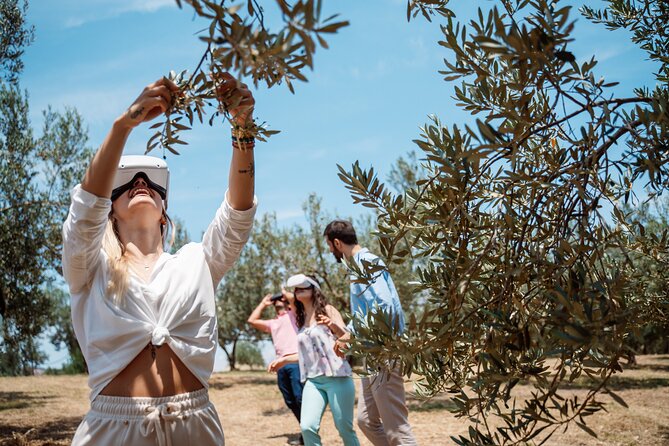 Full-Day Private Tour Corinth and Olive Oil Tasting from Athens - Price and value: why $234.57 can make sense