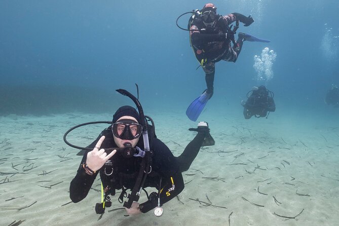 Guided SCUBA Diving for Certified Divers in Athens - Vouliagmeni is the Athens spot for shore-entry SCUBA sessions