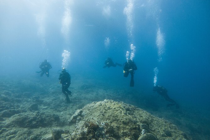 Guided SCUBA Diving for Certified Divers in Athens - Small group size is not a gimmick here