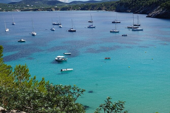 Half-Day Private Swimming Cruise along the Athenian Riviera - Onboard Comfort: What the Inclusions Actually Mean