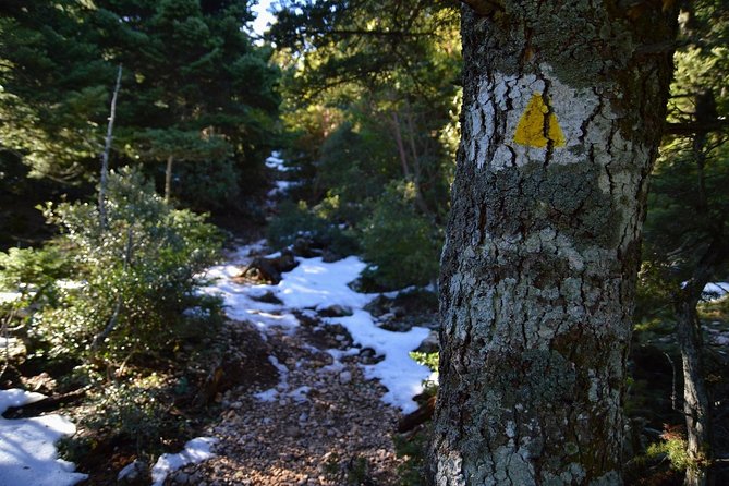 Hiking in Parnitha National Park Overlooking Athens - Why Mt. Parnitha is the easiest mountain escape from Athens