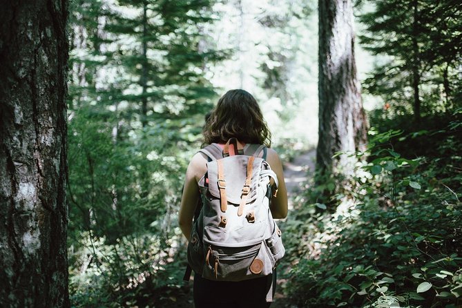 Hiking in Parnitha National Park Overlooking Athens - Choosing your route: beginners, advanced hikers, and mixed groups