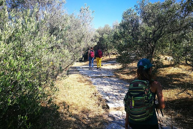 Hills Of Athens Walking Tour - Key points worth knowing before you go