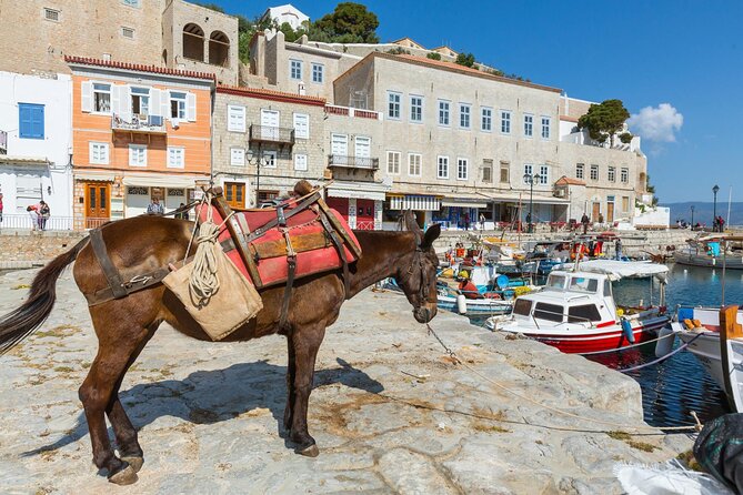 "Hydra: Wander the Cosmopolitan Car-Free Island on Foot" - Should you book this Hydra: Wander the Cosmopolitan Car-Free Island on Foot trip?