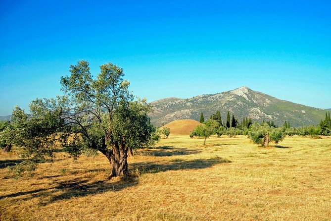 Marathon, Thermopylae, Thebes/Plataea, Herodotus Private Tour 10h - Plataea battlefield, Gargathia spring, and the north road via Cithaeron