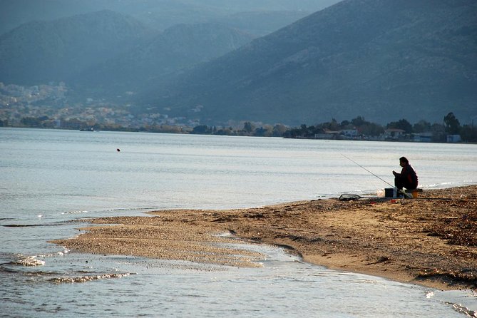 Marathon, Thermopylae, Thebes/Plataea, Herodotus Private Tour 10h - Price and value: what $331.32 covers, and what to budget for