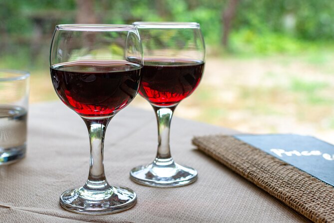 Nemea Wine Tasting & Nafplio Full-Day Private Tour from Athens - Ancient Corinth optional stop: when you want temples and Paul context