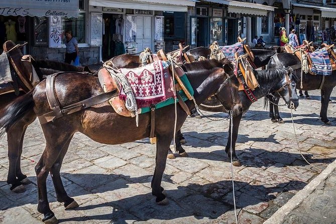 One Day Cruise to Hydra, Poros and Aegina from Athens - The long sea day: entertainment, Wi-Fi, and what to do on the water