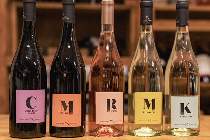 Organic and Vegan Indigenous Wine Tasting Private Experience - Inside Somm Wine Store: your 1-hour tasting in Athens