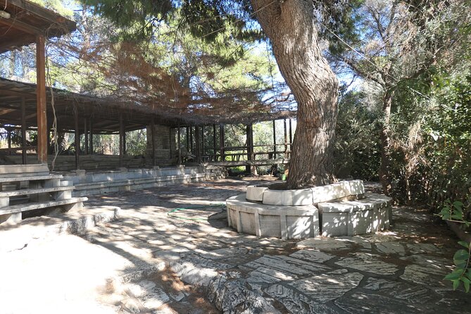 Philosophical Tour in Athens - Agios Dimitrios Loumbardiaris to Philopappos: democracy, happiness, and the view payoff