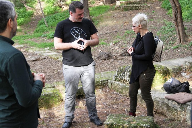 Philosophy Experiential Workshop at Plato's Academy Park -Athens - Your first stop: Plato’s Digital Museum warm-up