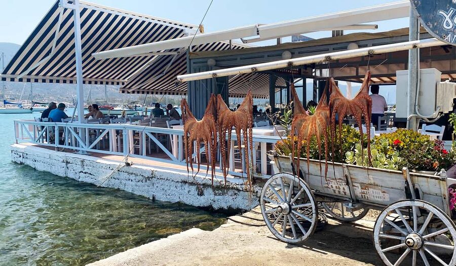 Poros Island: Full Day Trip From Athens with Swimming - Who should book this Poros trip from Athens?