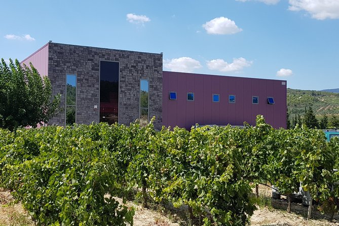 Premium Nemea Wine Tour from Athens, Nafplio or Nemea, with Oenologists - Stop 2: Semeli Estate, history plus a barrel-room reality check