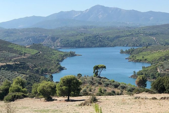 Private 4x4 Wine Tour from Athens to Marathon Lake and a Winery - Stop 2 at Domaine Costa Lazaridi: Wine Museum Kostas Lazaridis and Oinotria land