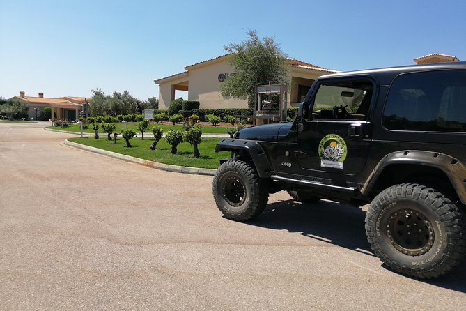Private 4x4 Wine Tour from Athens to Marathon Lake and a Winery - The guide factor: how Yvonne made it sing for real people