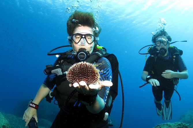 Private Discover Scuba Diving for Beginners in Athens with Pickup - After the session: showers, snacks, and a chance to debrief