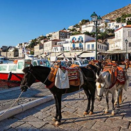 Private Excursion to Hydra Island - Your Hydra island time: 5 hours for shopping, sunbathing, and food