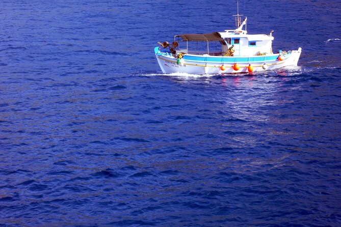 Private Fishing Trip in a Traditional Boat from Athens - Price and value: what $234.80 per person really covers