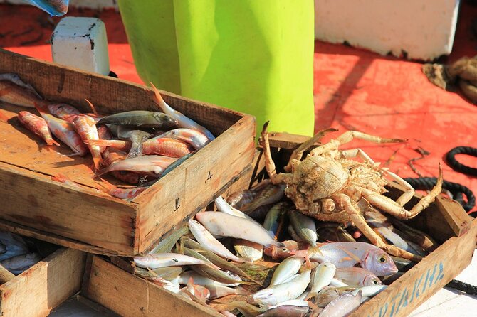 Private Fishing Trip in a Traditional Boat from Athens - Pickup and the air-conditioned ride that makes a difference