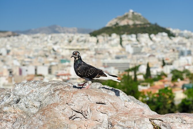 Private Luxury Biblical Tour: Apostle Paul in Athens & Corinth - Private luxury comfort in Athens heat, hotel pickup to Corinth day