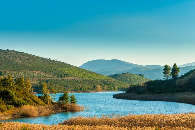 Private Luxury Tour: Marathon – Battle & Run That Changed History - Key things to know before you go