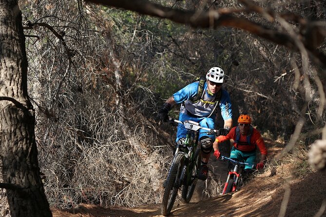 Private Mountain Bike,Trail Ride Tour of Mount Ymittos, Athens. - Views that make the climbs feel shorter