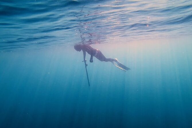 Private Spearfishing Trip From Athens - What’s included, what’s not, and what you should plan for