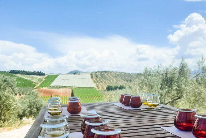 Private tour in Nafplio with Olive oil Tasting Tour in Corinth - Ancient Corinth (Archaia Korinthos): ruins, Roman layers, and the Apostle Paul thread