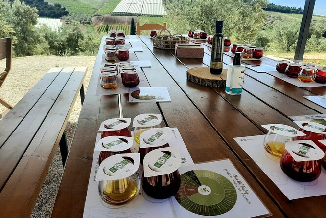 Private tour in Nafplio with Olive oil Tasting Tour in Corinth - Who this private Nafplio plus Corinth olive oil day trip suits best