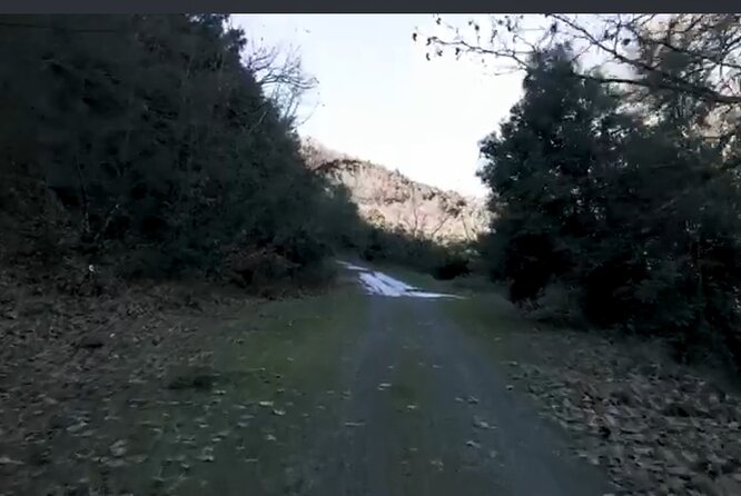 Private Tour of Thermopylae with a pickup (Optional Delphi) - Hot Gates swimming break at Thermopyles Hot Springs