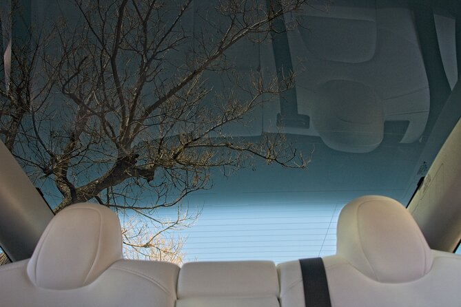 Private Transfer from Athens Airport to Athens City with Tesla - Who this Tesla airport transfer fits best