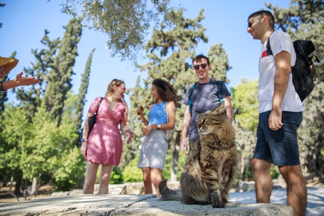 Private Walking Tour The Acropolis - What makes the guide-led approach special here