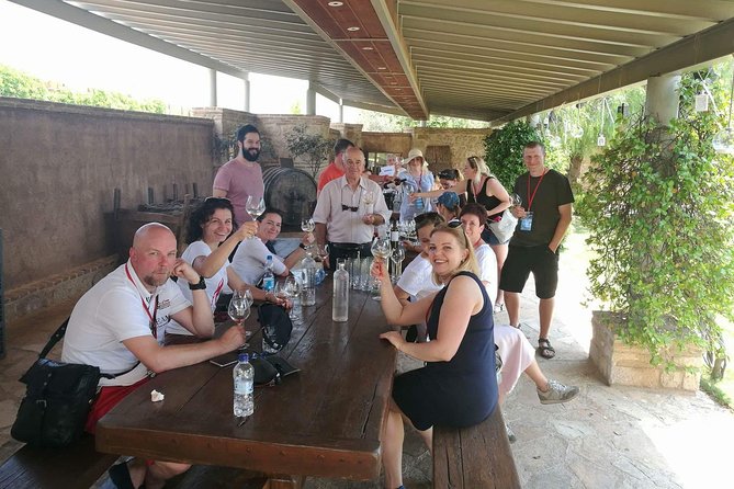 Private Wine Tasting Experience of Greek Awarded Wines at Athens Wine Suburb - Who This Private Athens Wine Tour Suits Best