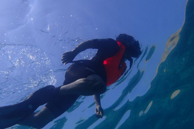 Snorkeling Adventure in Athens - The In-Water Experience: Surface Snorkeling and Mediterranean Sea Views