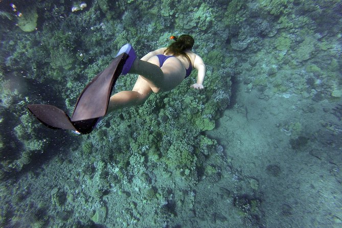 Snorkeling Fun Adventure in Athenian Riviera - Private pickup from Athens: less hassle, more time in the day