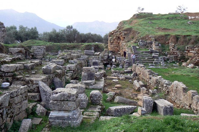 Sparta Full Day Tour - Olive oil museum: why a half hour in Sparta feels like a palate cleanser