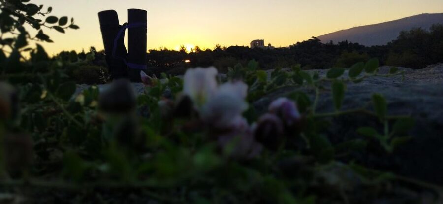 Sunrise Yoga & Meditation Acropolis & 360 view - Booking Smart: What to Know Before You Go