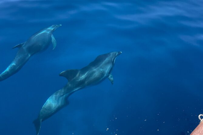 Sunset Cruise Athens Riviera – Half Day Swimming&BBQ onBoard - Small group size and crew tips that make a difference