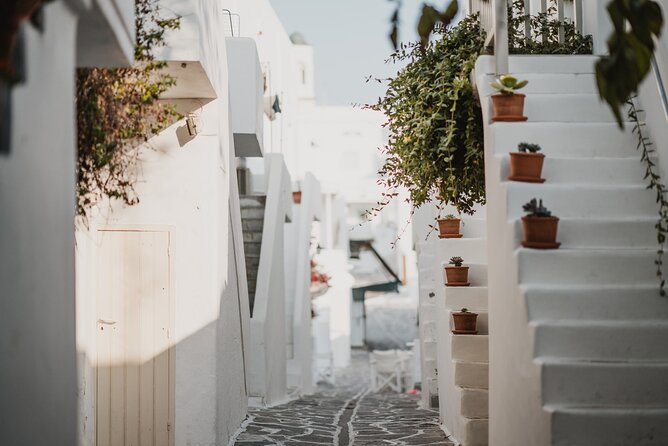 The Ultimate 11-Day Island Tour, Paros, Naxos, Mykonos, Santorini - Mykonos day: wine, lunch, windmills, and Little Venice at sunset