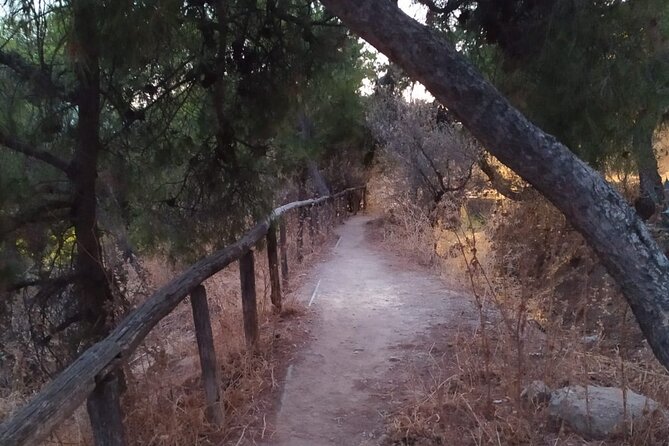 Ultimate Athens Sunrise Hike! - Sunrise photos and the Athens panorama: how to enjoy the view without stress