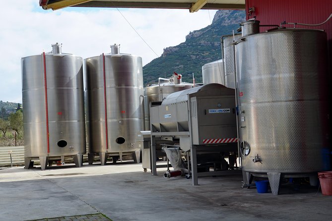 Wine Roads Private Day Tour: Corinth - Ancient Nemea & Wine Tasting - Price vs. what’s included: is $356.85 per person a smart buy?