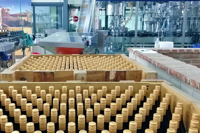 Wine Trails Private Tour/ Nemea visit 3 wineries from Athens or Nafplion (10 h) - Why this Nemea wine route feels more like a real day trip